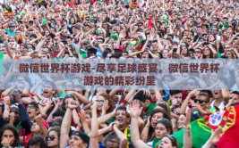 微信世界杯游戏-尽享足球盛宴，微信世界杯游戏的精彩纷呈