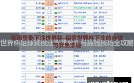 在哪里能下注世界杯-探索世界杯下注的合法与安全渠道