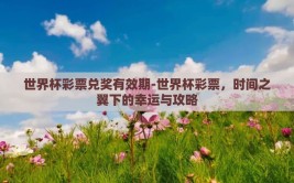 世界杯彩票兑奖有效期-世界杯彩票，时间之翼下的幸运与攻略