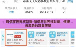 微信买世界杯彩票-微信与世界杯彩票，便捷与风险的双重考量