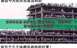 世界杯彩票 体彩中心-激情与机遇，世界杯彩票与体彩中心的碰撞