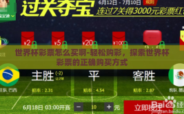 世界杯彩票怎么买啊-轻松购彩，探索世界杯彩票的正确购买方式
