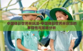 中国体彩世界杯玩法-中国体彩世界杯玩法的多样性与策略分析