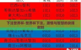 下注世界杯-世界杯下注，激情与智慧的抉择时刻