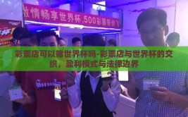 彩票店可以赌世界杯吗-彩票店与世界杯的交织，盈利模式与法律边界