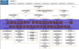 彩票投注世界杯-梦想实现归母净利润——揭秘彩票投注世界杯的无限潜能与理性选择
