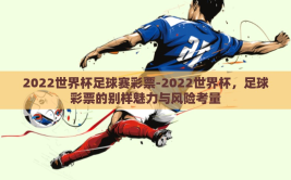 2022世界杯足球赛彩票-2022世界杯，足球彩票的别样魅力与风险考量