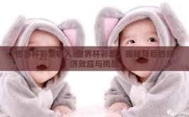 世界杯彩票收入-世界杯彩票，揭秘背后的经济效应与挑战
