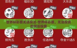 世界杯彩票无法投注-世界杯彩票，无法投资的背后探索