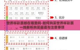 世界杯彩票都在哪里吗-如何购买世界杯彩票，一线解析购买渠道与注意事项