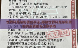 世界杯足球彩票的买法-揭秘世界杯足球彩票的购买策略与注意事项