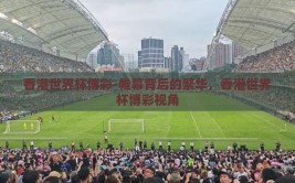 香港世界杯博彩-帷幕背后的繁华，香港世界杯博彩视角