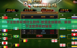 下注世界杯用什么软件-智赢全球赛场，解锁下注世界杯的秘笈