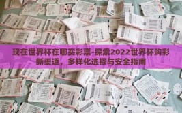 现在世界杯在哪买彩票-探索2022世界杯购彩新渠道，多样化选择与安全指南