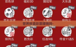 世界杯卖彩票赚钱吗-