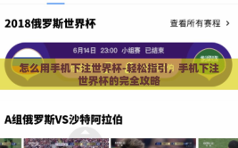 怎么用手机下注世界杯-轻松指引，手机下注世界杯的完全攻略