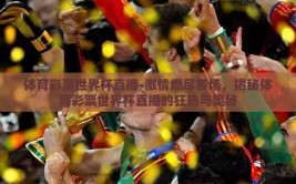 体育彩票世界杯直播-激情燃尽赛场，揭秘体育彩票世界杯直播的狂热与奥秘