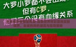 世界杯彩票那里有卖-探索世界杯彩票购买新境界，全城热购的潮流与指导策略