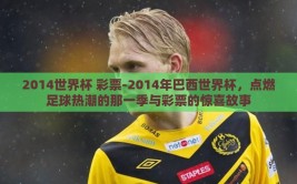 2014世界杯 彩票-2014年巴西世界杯，点燃足球热潮的那一季与彩票的惊喜故事