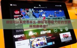 微信可以买世界杯么-微信可否助力您的世界杯观赛体验？