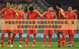 中国官方世界杯彩票-中国官方世界杯彩票，足球激情与公益使命的完美融合