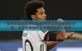 世界杯足球彩票分析-世界杯足球彩票精彩分析，从历史数据到战术预测的深入解析