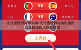 支付宝世界杯怎么买-支付宝世界杯购彩指南，安全便捷的玩球新体验