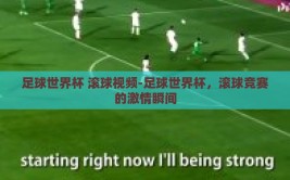 足球世界杯 滚球视频-足球世界杯，滚球竞赛的激情瞬间
