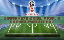 微信在哪买球世界杯-合规路径，共享激情，理性网民如何通过合理渠道关注世界杯