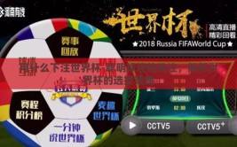 用什么下注世界杯-聪明球迷的赌注，解析世界杯的选择策略