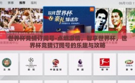 世界杯竞猜订阅号-点燃激情，智享世界杯，世界杯竞猜订阅号的乐趣与攻略