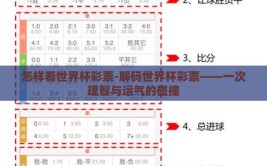 怎样看世界杯彩票-解码世界杯彩票——一次理智与运气的碰撞