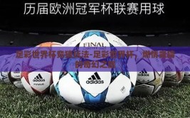 足彩世界杯竞猜玩法-足彩世界杯，燃情竞猜的奇幻之旅