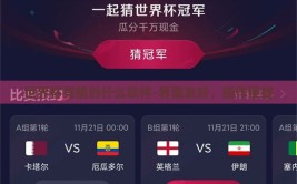 世界杯竞猜的什么软件-界面友好，操作便捷