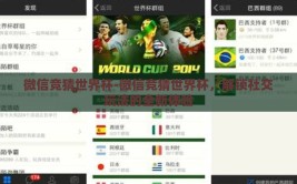 微信竞猜世界杯-微信竞猜世界杯，解锁社交玩法的全新体验