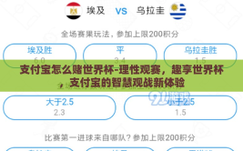 支付宝怎么赌世界杯-理性观赛，趣享世界杯，支付宝的智慧观战新体验