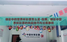 体彩中的世界杯彩票怎么买-指南，体彩中世界杯彩票的购买技巧与注意事项