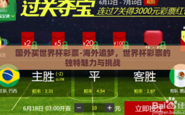 国外买世界杯彩票-海外追梦，世界杯彩票的独特魅力与挑战