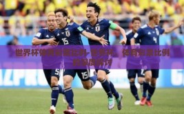 世界杯体育彩票比例-世界杯，体育彩票比例的深度探讨