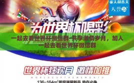 一起去看世界杯微信群-共享激情岁月，加入一起去看世界杯微信群