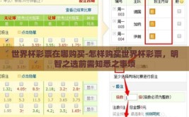 世界杯彩票在哪购买-怎样购买世界杯彩票，明智之选前需知悉之事项