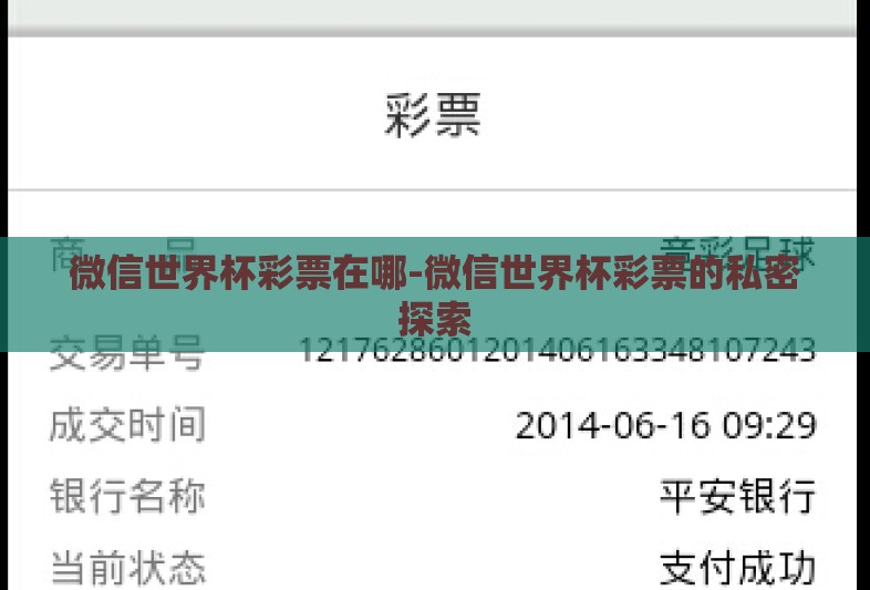 微信世界杯彩票在哪-微信世界杯彩票的私密探索