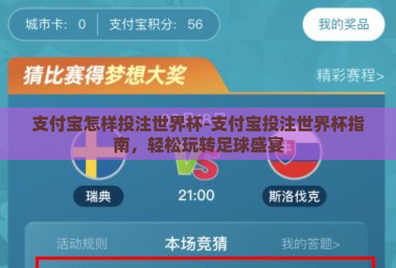 支付宝怎样投注世界杯-支付宝投注世界杯指南，轻松玩转足球盛宴