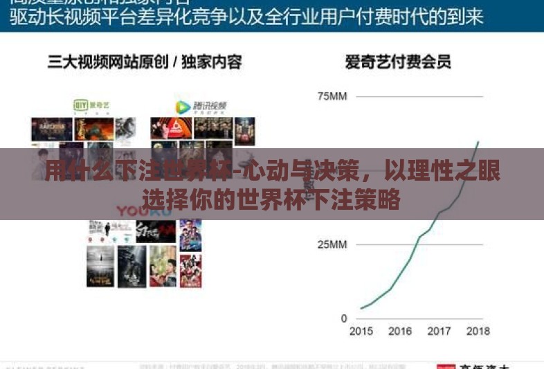 用什么下注世界杯-心动与决策，以理性之眼选择你的世界杯下注策略