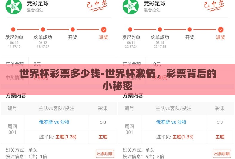 世界杯彩票多少钱-世界杯激情，彩票背后的小秘密