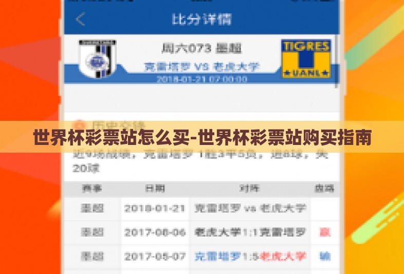世界杯彩票站怎么买-世界杯彩票站购买指南