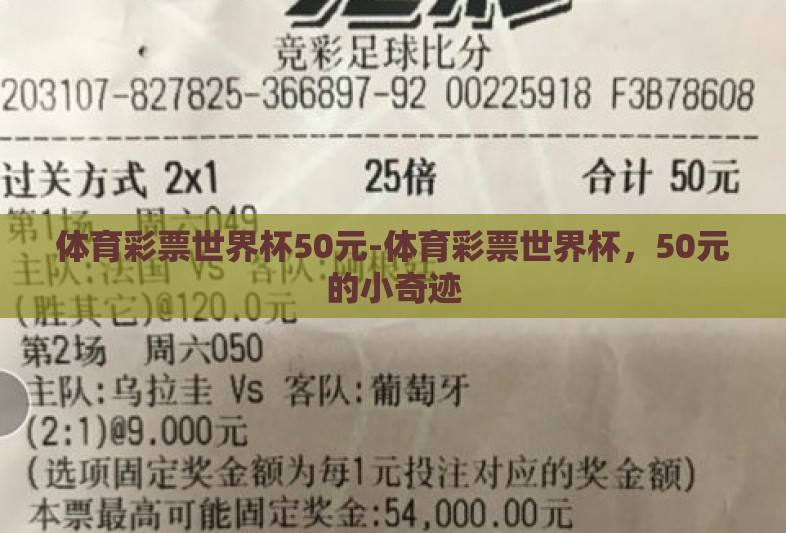 体育彩票世界杯50元-体育彩票世界杯，50元的小奇迹