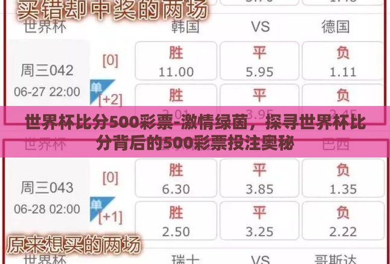 世界杯比分500彩票-激情绿茵，探寻世界杯比分背后的500彩票投注奥秘