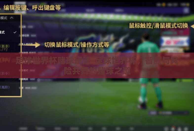 足球世界杯赌球玩法-足球世界杯，智胜与风险共舞的赌球之道