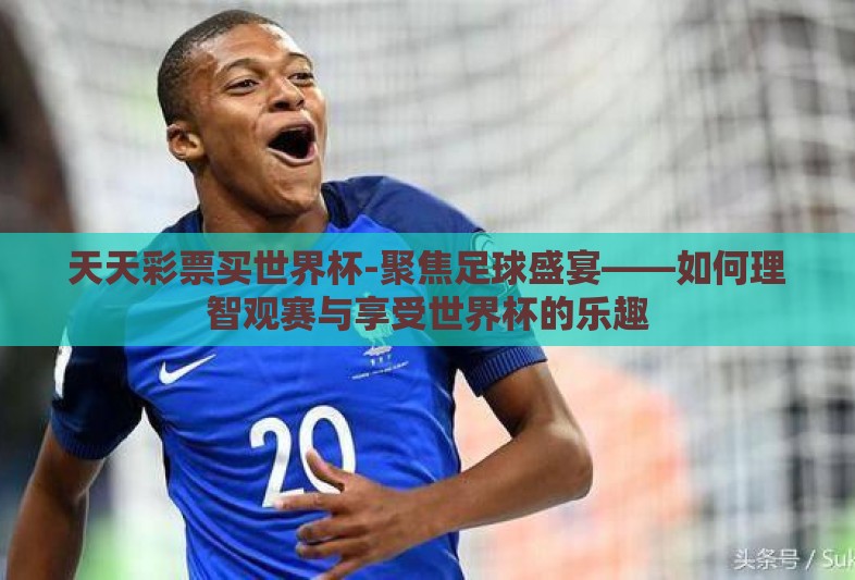 天天彩票买世界杯-聚焦足球盛宴——如何理智观赛与享受世界杯的乐趣